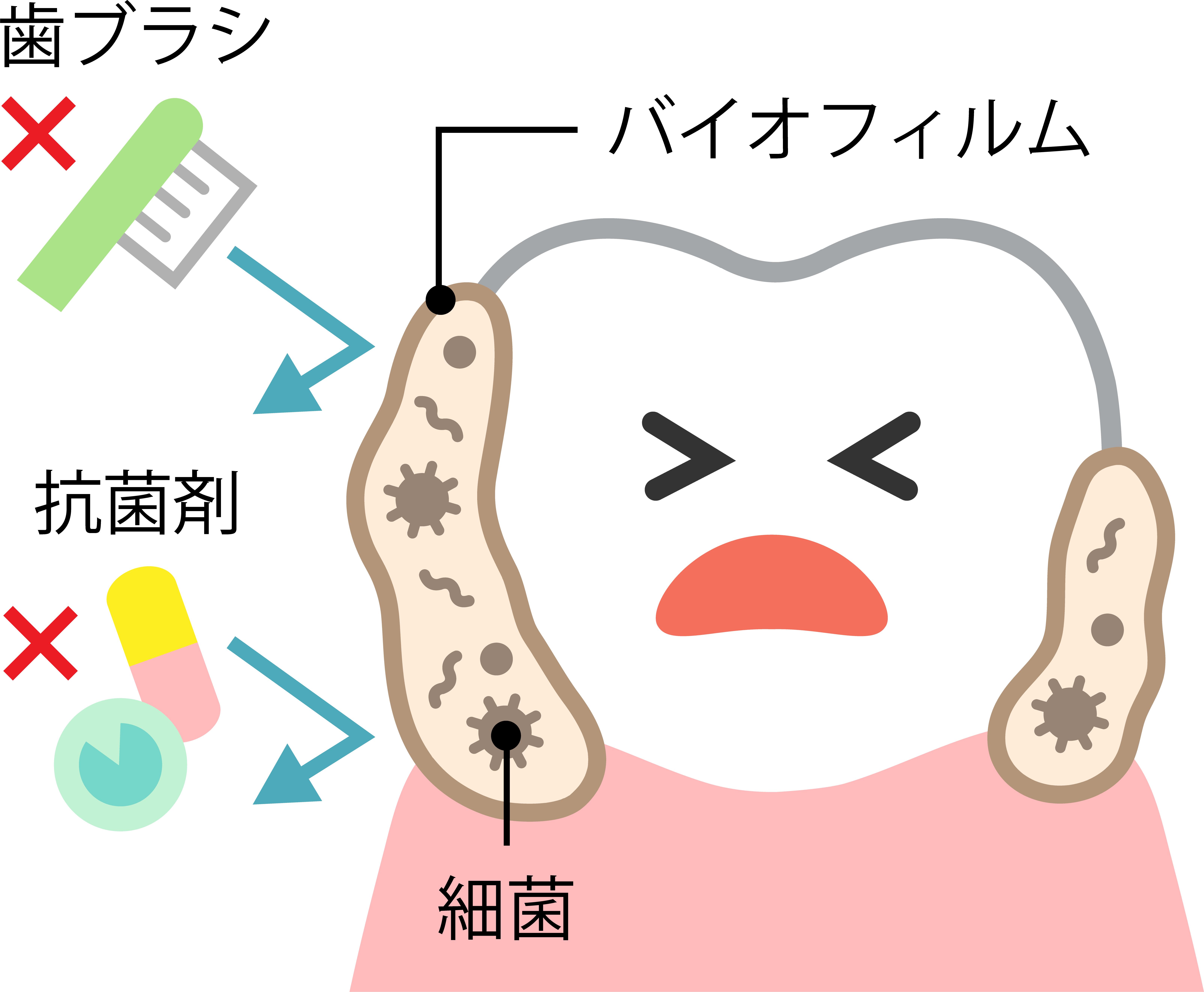 新年度を迎える前に、お口の中をきれいにしませんか