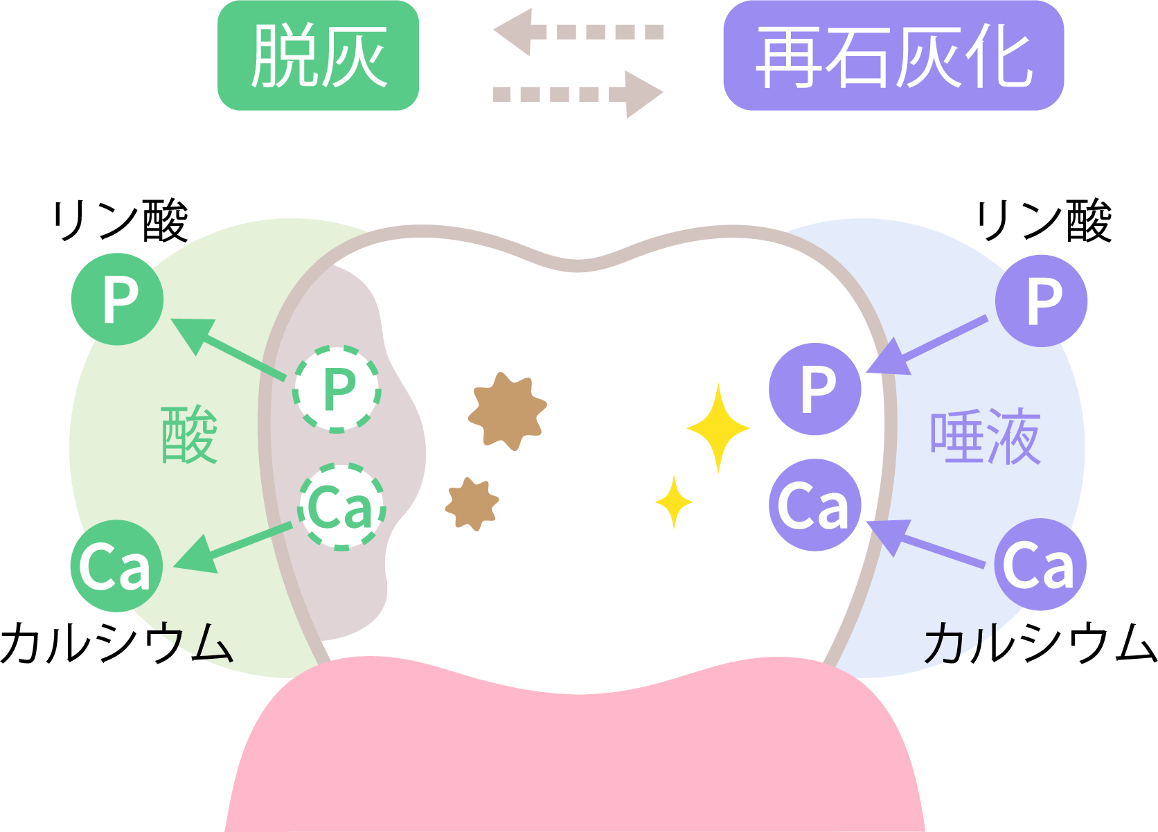 甘いものを食べた後は、歯みがきを忘れずに